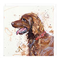 Card Red Setter
